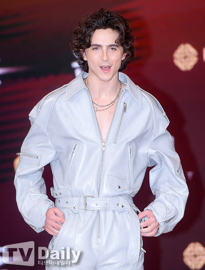 Timothée Chalamet（圖源：TVDaily）