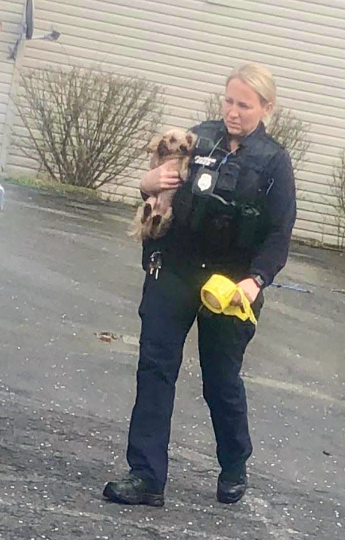 Hagerstown Deputy Fire Marshal Deanna Pelton carries a dog that was rescued from an apartment fire Thursday afternoon in downtown Hagerstown.