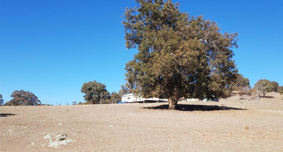 Just two years on, his farm is unrecognisable. Source: James and Mel Schulhin