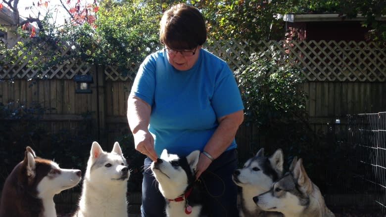 Halifax woman warns of leptospirosis after her husky dies