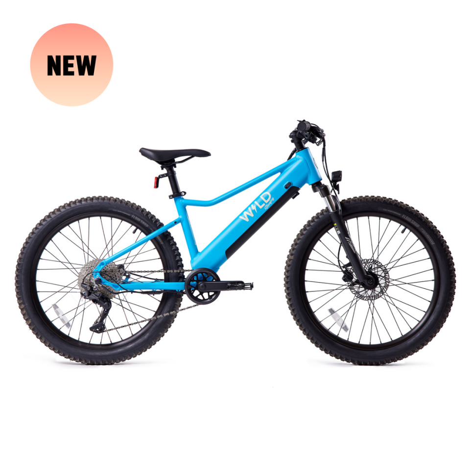 <p><a href="https://go.redirectingat.com?id=74968X1596630&url=https%3A%2F%2Fbluejaybikes.com%2Fcollections%2Fbluejay-wild-kids-electric-bike%2Fproducts%2Fnew-bluejay-wild-electric-blue-kids-electric-bike&sref=https%3A%2F%2Fwww.townandcountrymag.com%2Fstyle%2Fmens-fashion%2Fg41938213%2Fbest-bar-mitzvah-gifts%2F" rel="nofollow noopener" target="_blank" data-ylk="slk:Shop Now;elm:context_link;itc:0;sec:content-canvas" class="link ">Shop Now</a></p><p>Bluejay WILD - Electric Blue Kids Electric Bike</p><p>bluejaybikes.com</p><p>$1995.00</p>