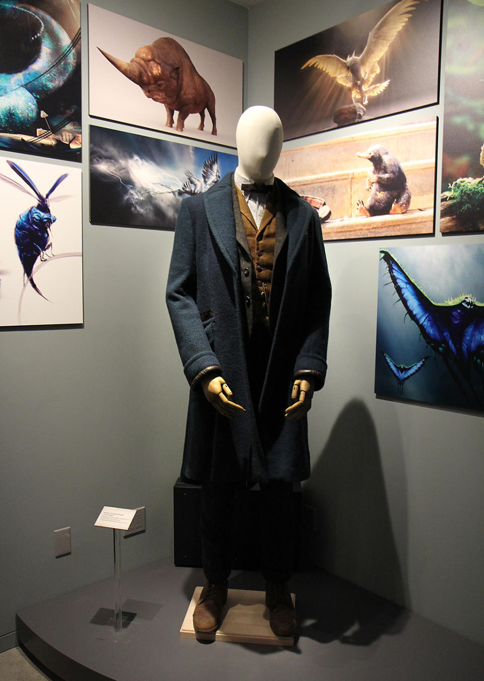 Newt Scamander Wardrobe