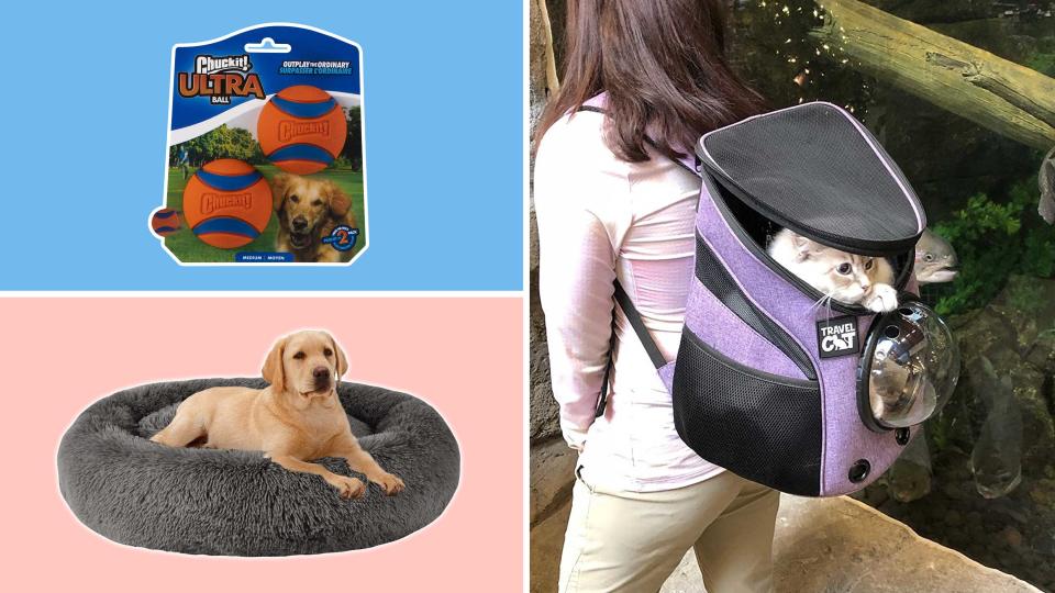 From calming dog beds to cute cat backpacks, here are the best Amazon Pet Day deals.