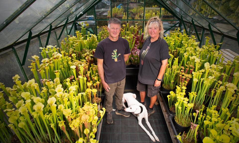 <span>Peter Walker, his wife Helleentje and Billy the rescue lurcher at Wack's Wicked Plants in Scampston, near Malton, North Yorkshire.</span><span>Photograph: Richard Saker/The Observer</span>