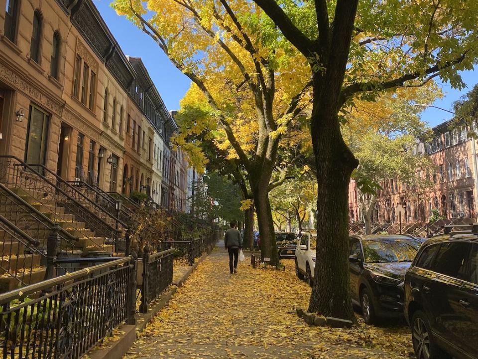 A street in Brooklyn during autumn.