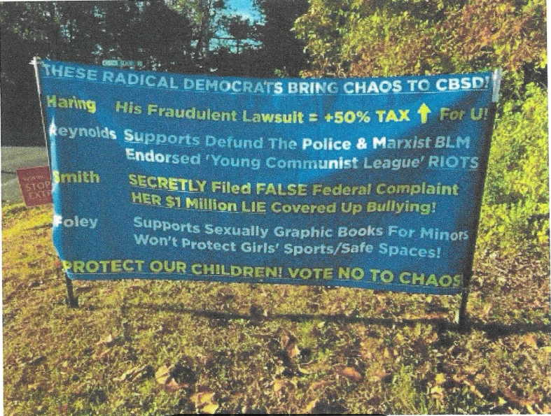 One of the allegedly "illegal" political signs placed around the Central Bucks School District recently that the Bucks County Democratic Committee is seeking a court order to remove.