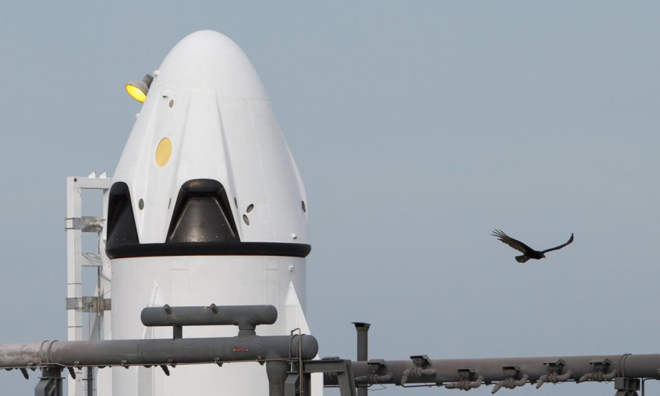 This week, SpaceX's Crew Dragon capsule arrived at Cape Canaveral, Florida