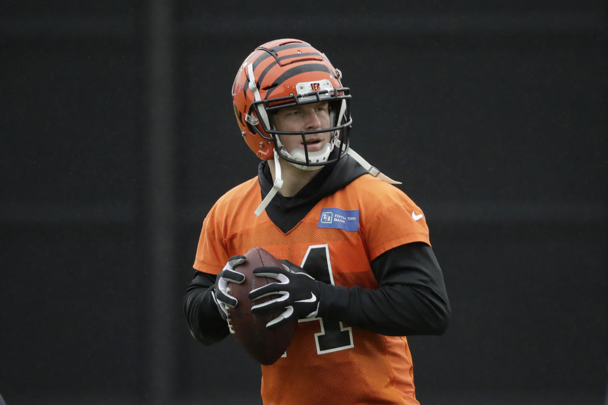 Andy Dalton, Rookie Quarterback, Quietly Leads Bengals - The New York Times