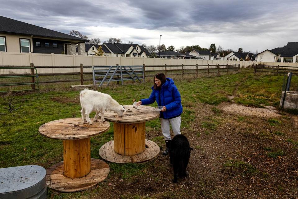 Longtime resident Jane Klosterman feeds one of her goats on her property next to a new housing development in Eagle. Klosterman owned 40 acres, but after developers kept bugging her she sold 38 of them.