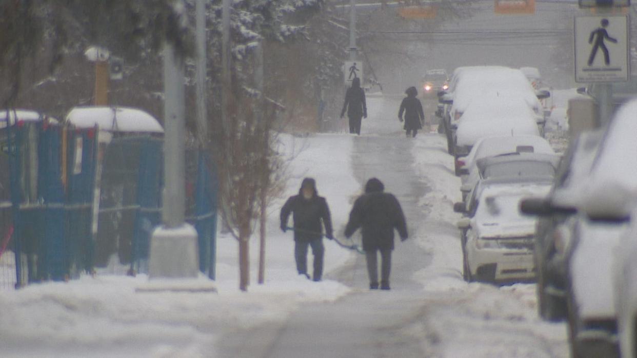 A snowfall warning has been issued for Calgary by Environment and Climate Change Canada. (James Young/CBC - image credit)