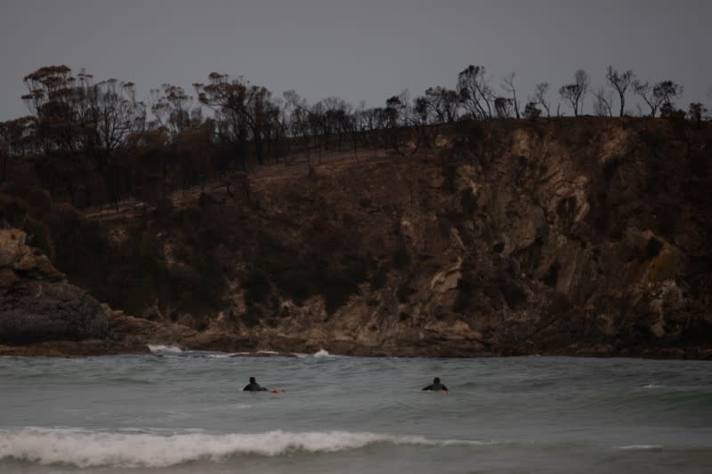 Surfers paddle on their surfboards as burnt bushland is seen in the background in Mckenzie beach near Malua Bay