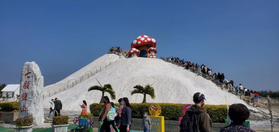 台灣觀巴漫遊61西濱鹽鄉幸福精華一日遊，安排走訪扇型鹽田或七股鹽山。 （記者羅玉如攝）