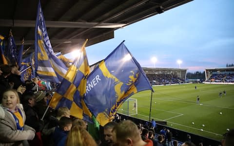 Shrewsbury Town fans wave flags inside the stadium - Credit: REUTERS