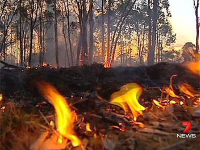 <p>Total fire bans for South Australia</p>