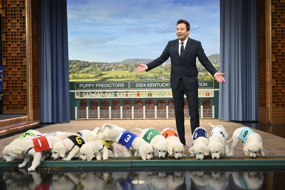 Jimmy Fallon in one of his signature "Tonight Show" sketches, in which puppies predict the winners of major sporting events. This time it was the 2024 Kentucky Derby.