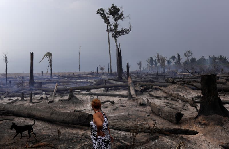 Pictures of the Year: Fires in the Amazon: a barrier to climate change up in smoke