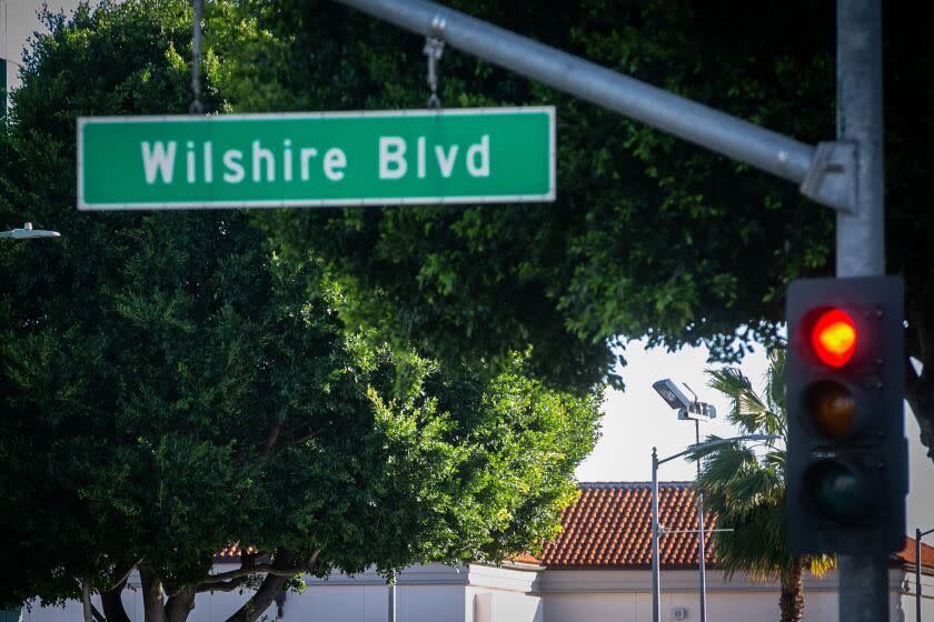 LOS ANGELES, CA - FEBRUARY 06: The city of Beverly Hills is in the process of cutting down many of its trees - some believed to be more than 100 years old - to make room for a sidewalk project on Monday, Feb. 6, 2023 in Los Angeles, CA. (Jason Armond / Los Angeles Times)