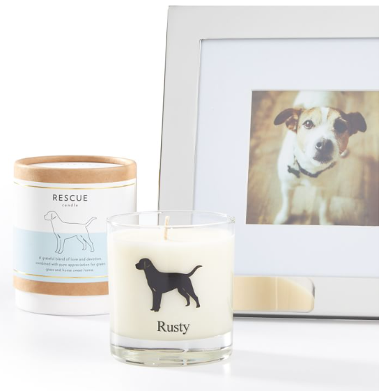 <p><a href="https://go.redirectingat.com?id=74968X1596630&url=https%3A%2F%2Fwww.markandgraham.com%2Fproducts%2Fpet-lover-candle%2F%3Fpkey%3Ds%257Ecandle%257E1&sref=https%3A%2F%2Fwww.countryliving.com%2Fshopping%2Fgifts%2Fg1478%2Fgifts-for-dog-lovers%2F" rel="nofollow noopener" target="_blank" data-ylk="slk:Shop Now;elm:context_link;itc:0;sec:content-canvas" class="link ">Shop Now</a></p><p>Pet Lover Candle</p><p>markandgraham.com</p><p>$29.99</p>