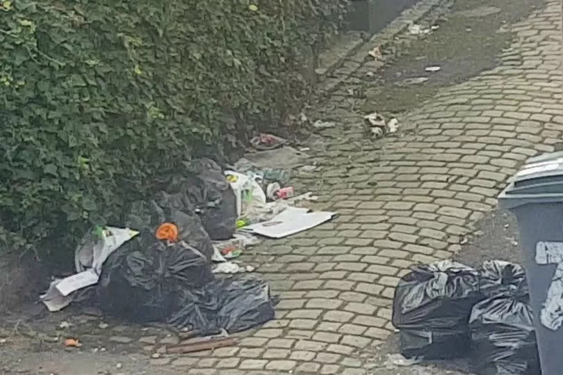 Rubbish dumped in the street outside Zoltan and Veronika's house