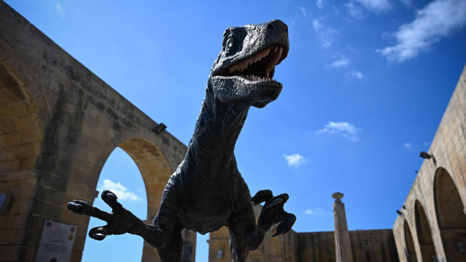 raptor at a museum