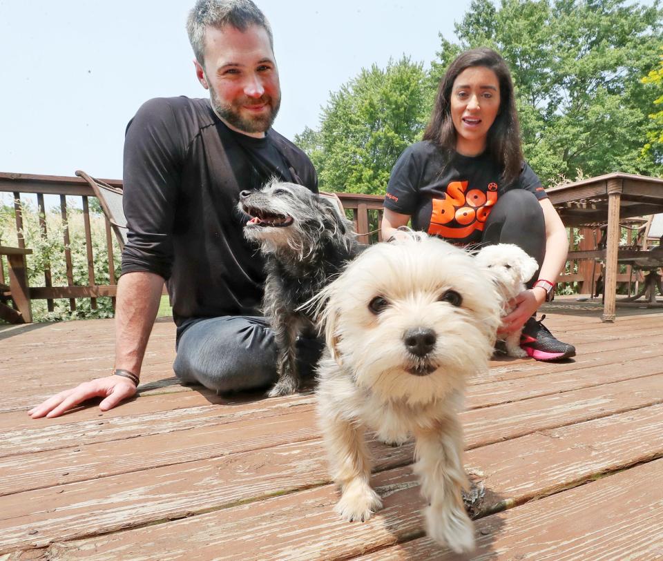Justin and Nia Couch sit with their dogs TRex, Panchita and Coconut at their home in Copley. The couple lost their Shih Tzu, Lola, who got spooked by fireworks on Memorial Day and ran away.
