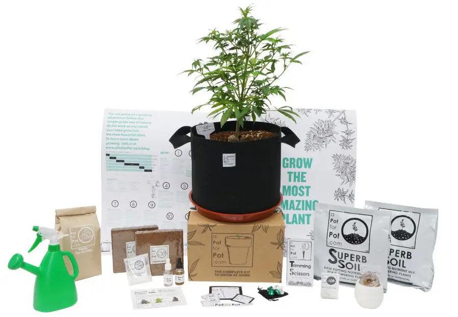 <p><a href="https://apotforpot.com/collections/complete-grow-kits/products/medium-complete-pot-grow-kit-five-gallon/" rel="nofollow noopener" target="_blank" data-ylk="slk:Shop Now;elm:context_link;itc:0;sec:content-canvas" class="link rapid-noclick-resp">Shop Now</a></p><p>Medium Complete Pot Grow Kit (5 Gallon)</p><p>A Pot For Pot</p><p>$99.95</p><span class="copyright">A Pot For Pot</span>