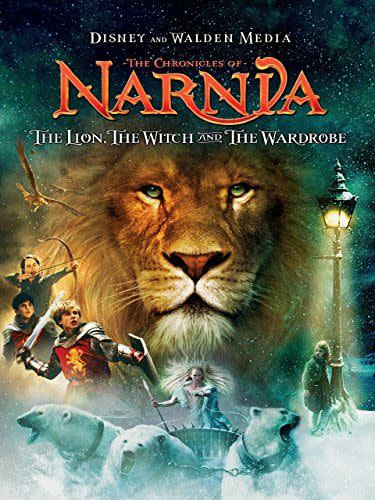 13) The Chronicles Of Narnia: The Lion, the Witch & the Wardrobe (2005)