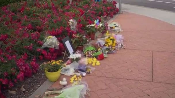 PHOTO: A good Samaritan who stopped his car to help a family of ducks cross a road in California was struck and killed by a teenage driver on Thursday, May 18, 2023 in Rocklin, California. (KXTV)