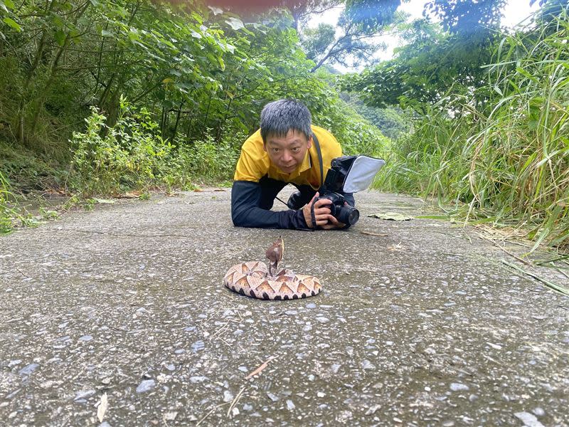 賴志明屏東爬山巧遇「山神大人」。（圖／翻攝自「野生蛇相」臉書）