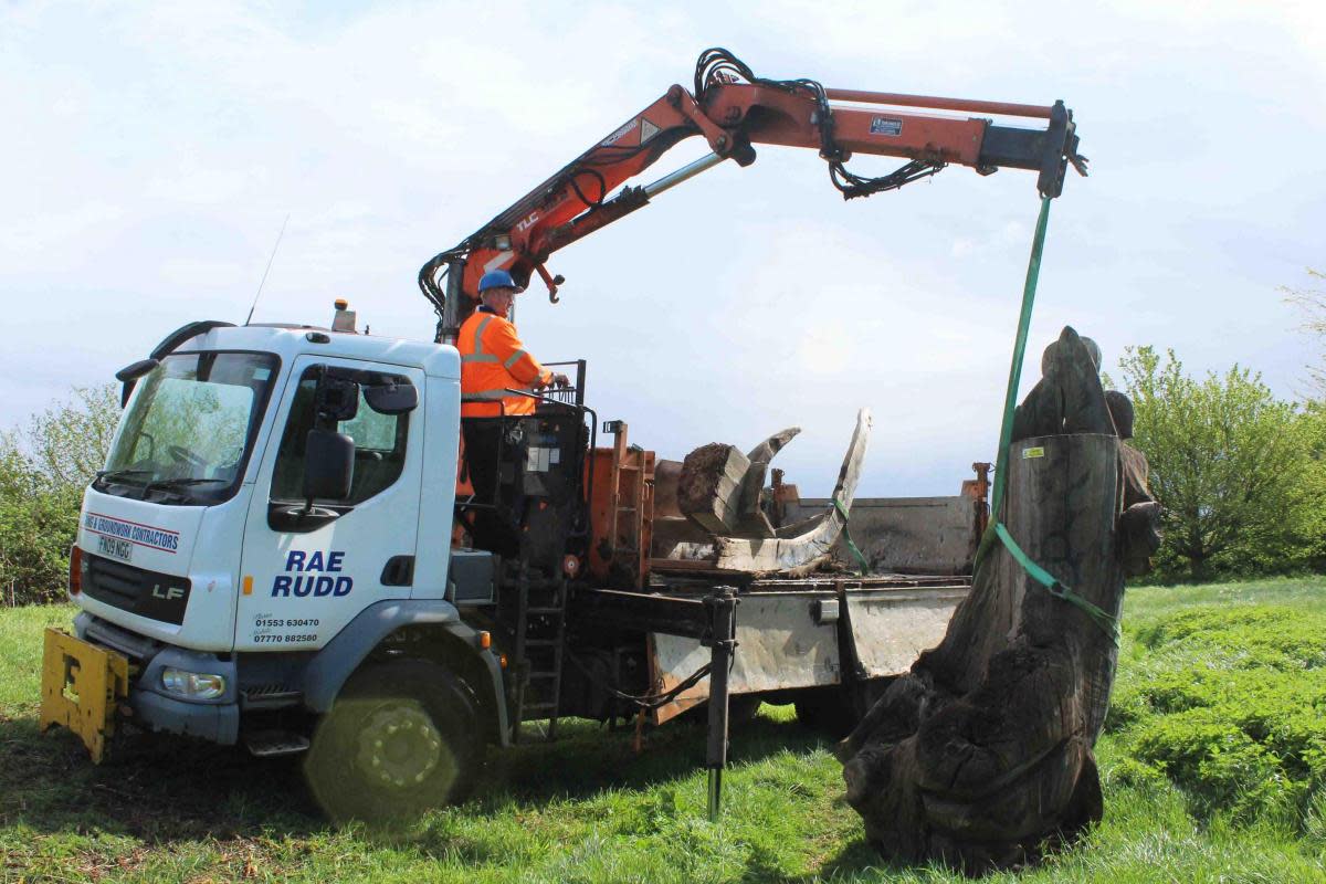 The oak whale will create a new habitat in a nearby field <i>(Image: Submitted)</i>