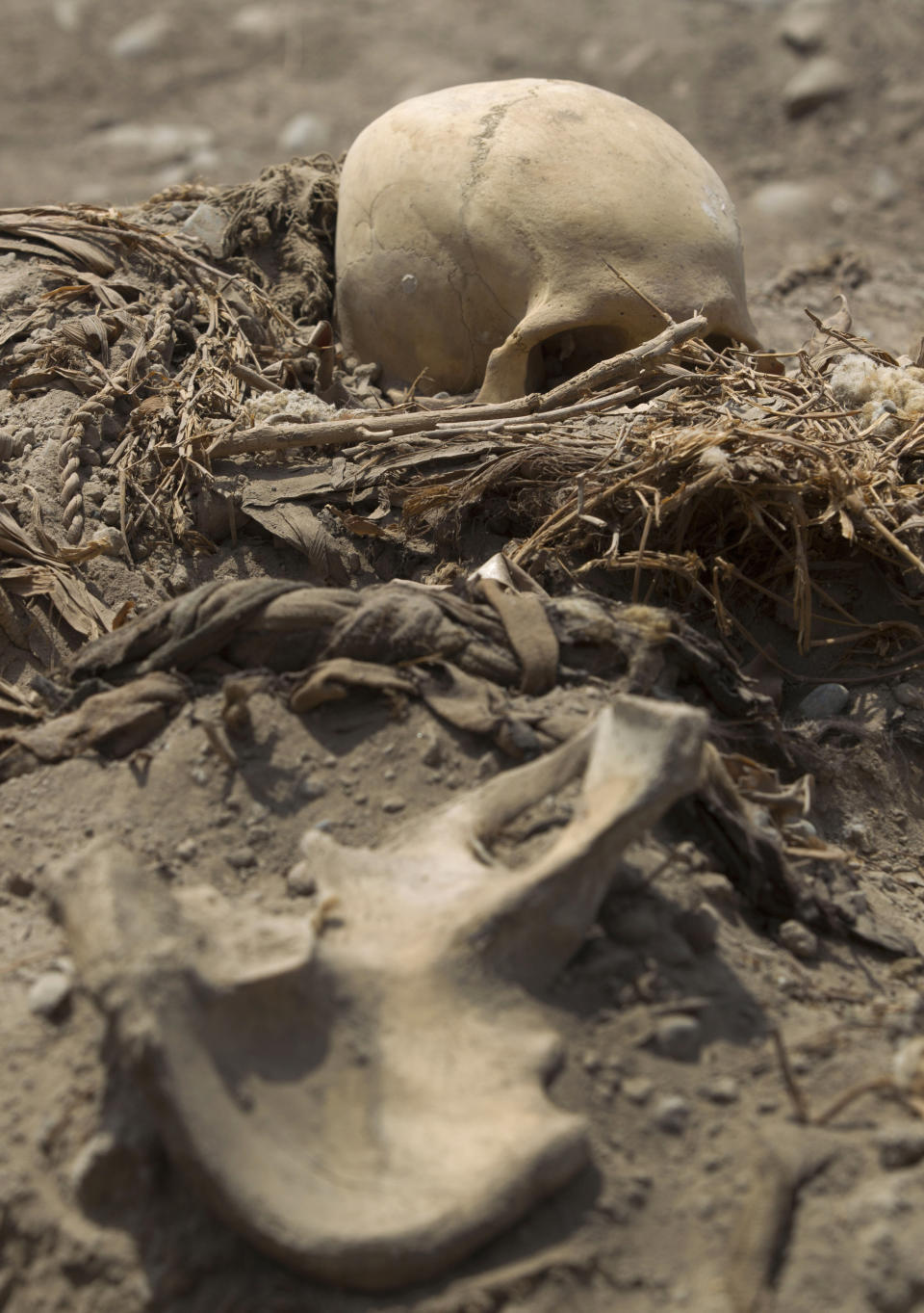 Archeologists found eleven skeletons in a pre-Hispanic tomb at the Huaca Tupac Amaru B site, just feet from Peru's national soccer stadium in Lima. The remains were buried on a bed of woven reeds and tied in braided rattan. (AP Photo/Martin Mejia)  <a href="http://www.huffingtonpost.com/2013/02/26/pre-hispanic-skeletons-peru-sports-center_n_2769932.html" target="_blank">Read more here.</a>