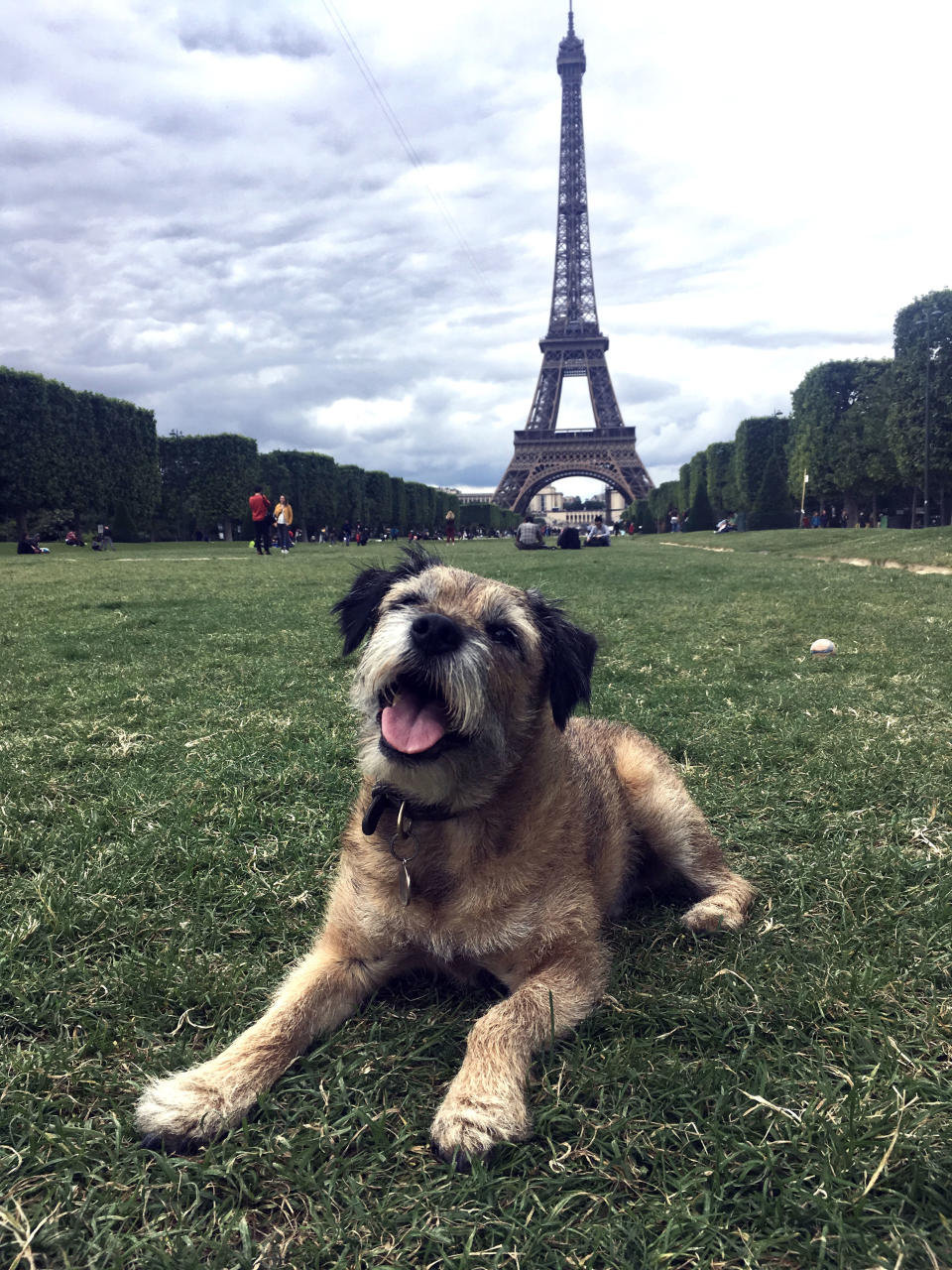 Pete the border terrier,, 10 at the Eifel Tower, Paris, France. (Photo: Caters News)