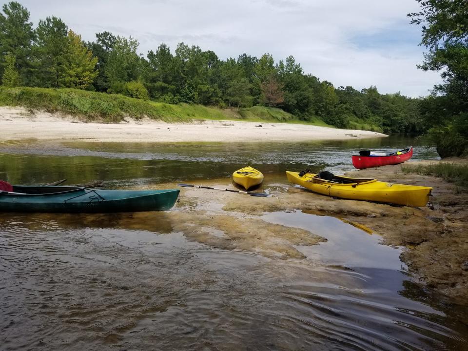 Mississippi's creeks and rivers offer opportunities to get away in the wild.