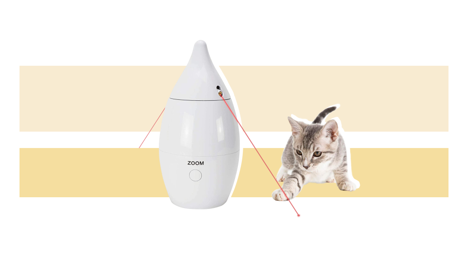 Mother's Day gifts for cat moms: laser toy