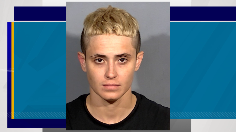 Dianelys Fernandez, 33, faces two counts of open murder with a deadly weapon (LVMPD/KLAS)