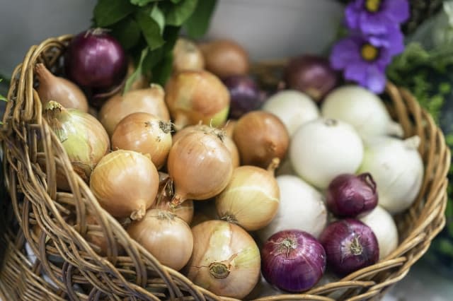 Assorted onions of different varieties. Basket with fresh organic vegetables, Live vitamins, selectiv focus. Farmers market