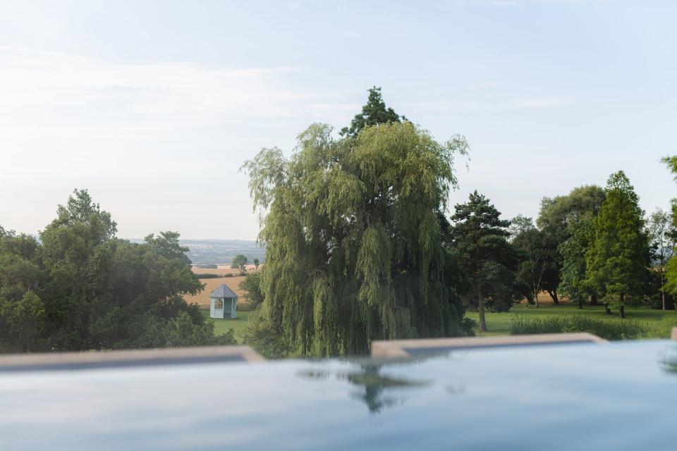 a tree in a pond