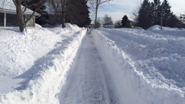 Check on vulnerable neighbours after storms: seniors group