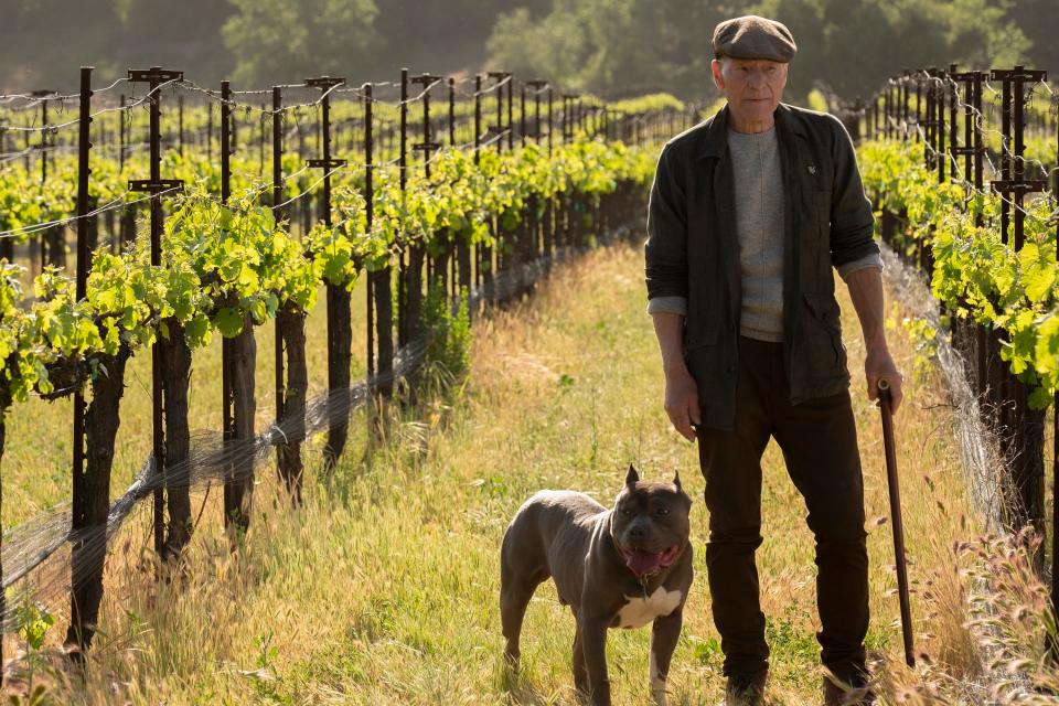 Jean-Luc Picard (Patrick Stewart), joined by his dog, Number One, is living an uneventful but unsettled retirement at his French chateau at the start of CBS All Access' 'Star Trek: Picard.'