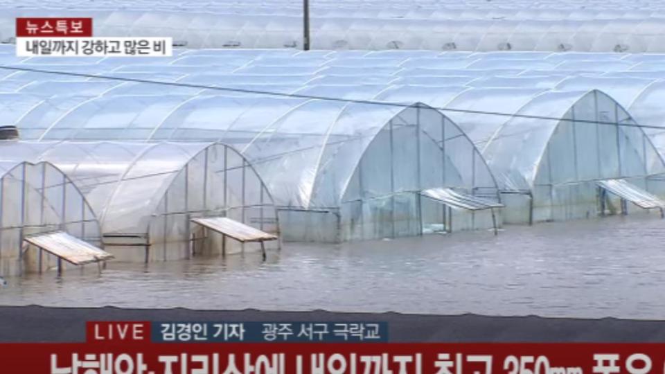 大雨導致韓國農業損失慘重。（圖／翻攝自YonhapnewsTV）