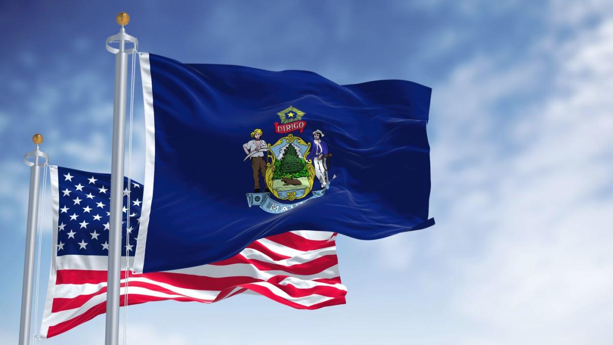 the maine state flag waving along with the national flag of the united states of america