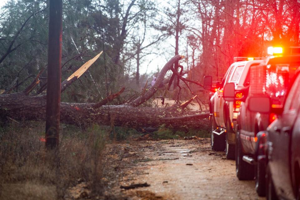 Emergency crews and neighbors work to clear Sandy Ridge Road in Prattville, Ala., on Thursday, Jan. 12, 2023.