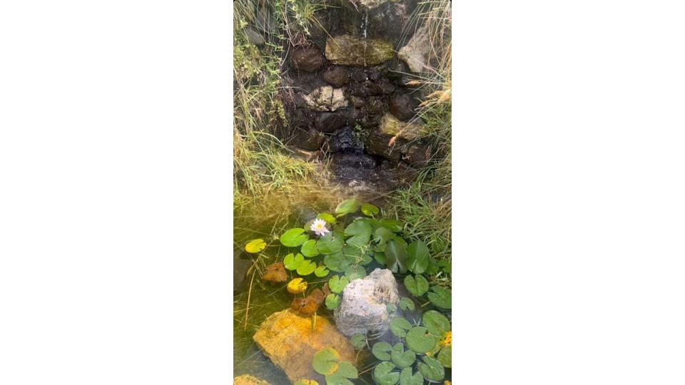 The stunning water feature looked glorious in the sunshine 