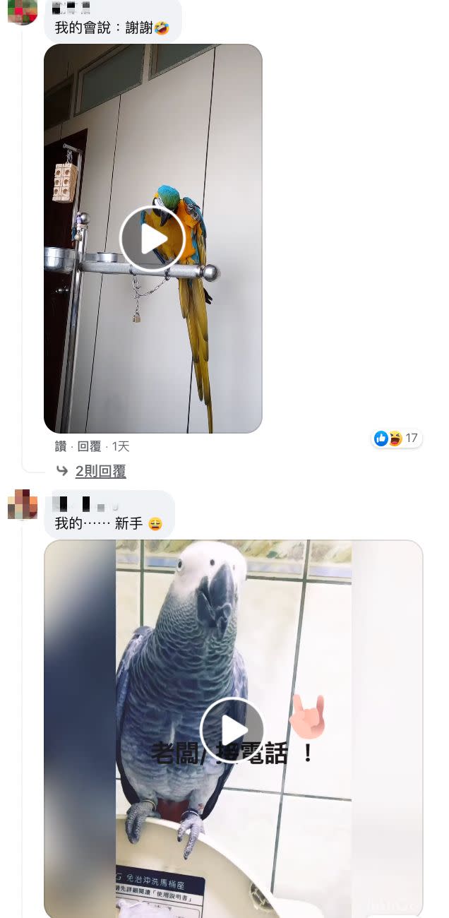 ▲網友紛紛曬出自家寵物鳥的影片。（圖／吳宗憲臉書）