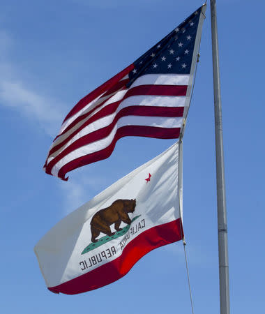 The California and U.S. flags fly in Carson, California, U.S. on August 5, 2015. Picture taken on August 5, 2015. REUTERS/Mike Blake