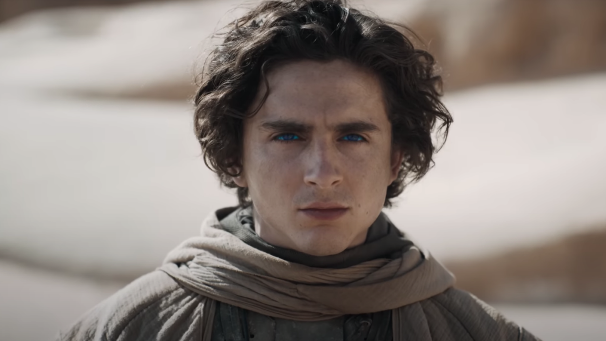 timothee chalamet in dune part two