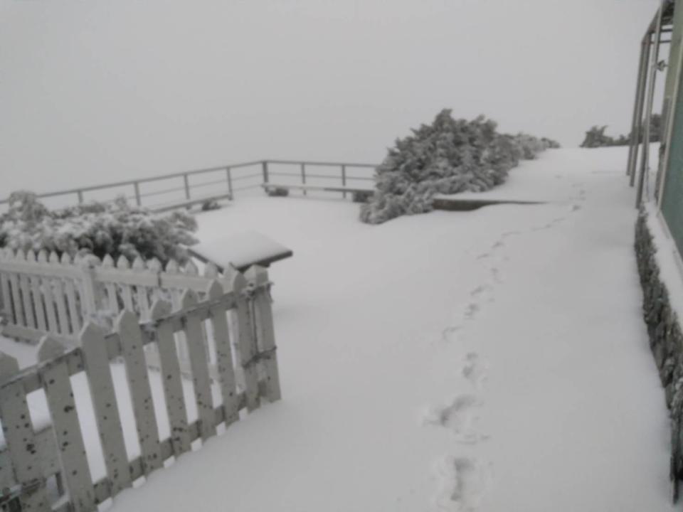 Il y a 5 centimètres de neige à Yushan.  (Photo/Fourni par l'Administration météorologique centrale)