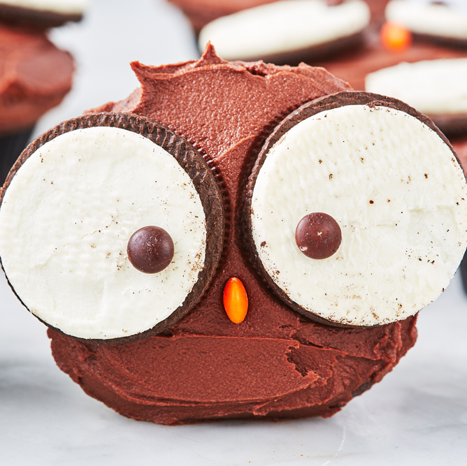 Owl Cupcakes