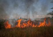 Russia's attack on Ukraine continues, in the Donbas region