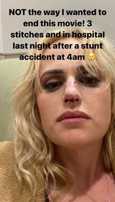 rebel wilson instagram story stitches